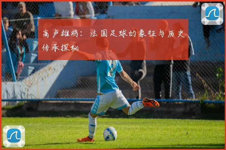 高卢雄鸡：法国足球的象征与历史传承探秘