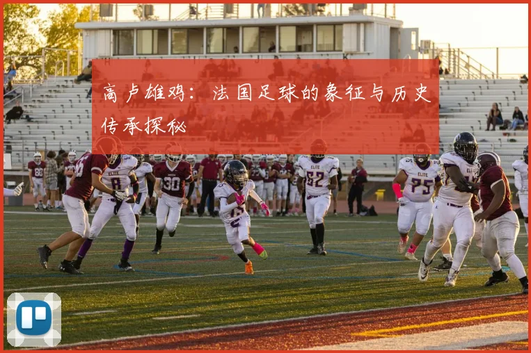 高卢雄鸡:法国足球的象征与历史传承探秘